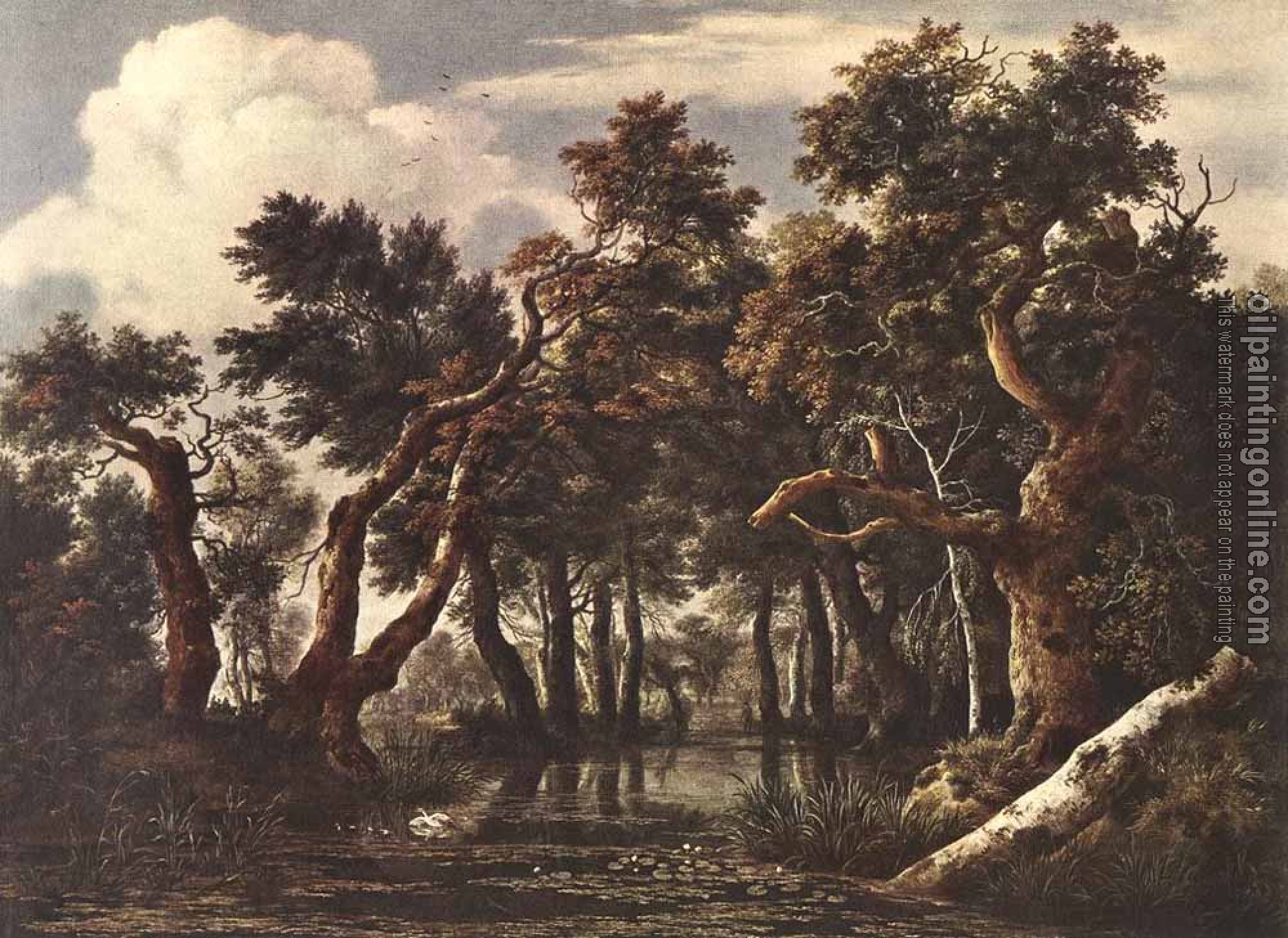 Jacob van Ruisdael - The Marsh In A Forest